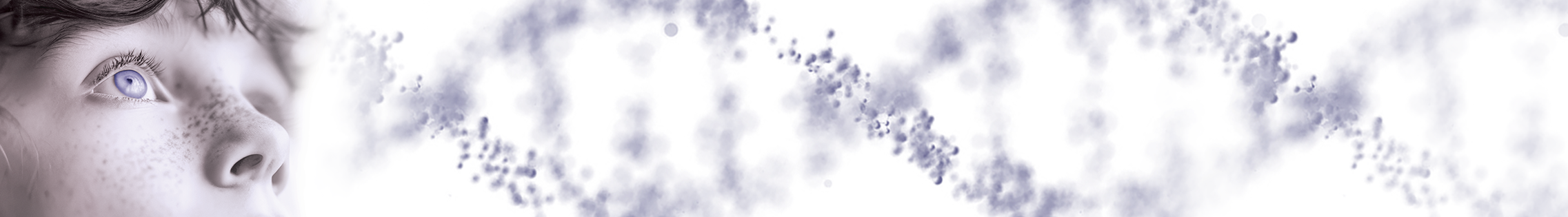 Banner Tagmentase